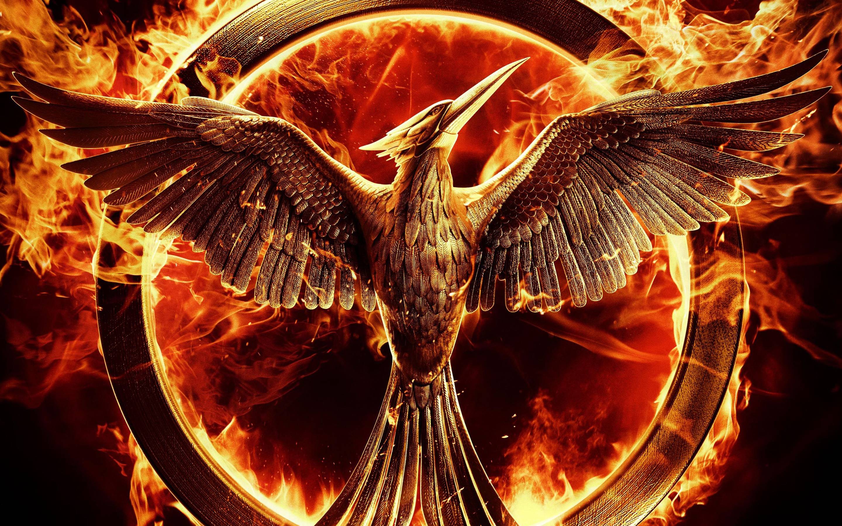 Hunger Games cover